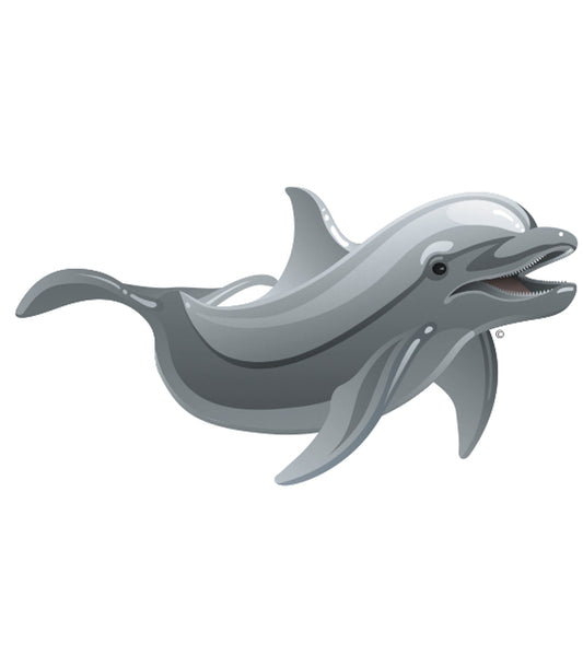 H2O-Toos Swim Tattoos Gray Dolphin